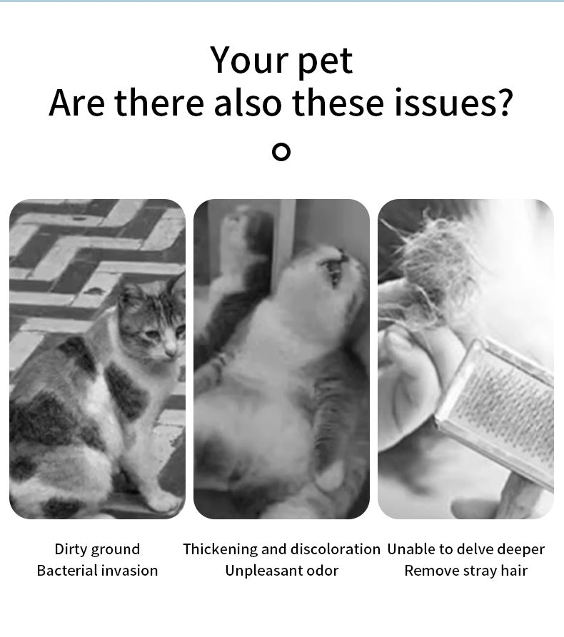 MistPaw grooming brush feature image